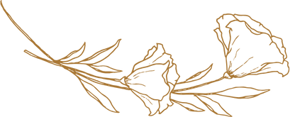 Counsellor whakatane